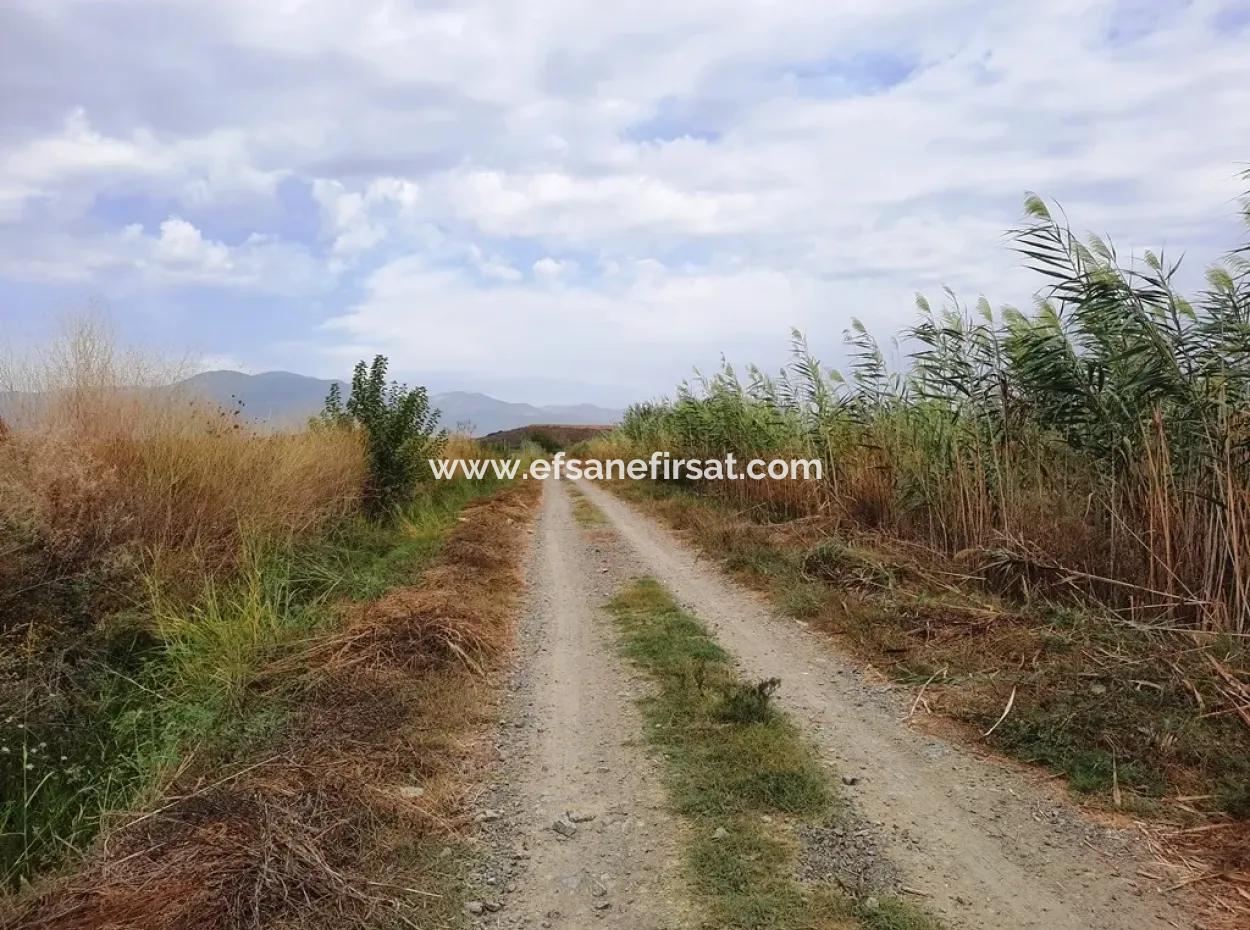 Fruchtbares Land Zu Verkaufen In Ortaca Eskiköy