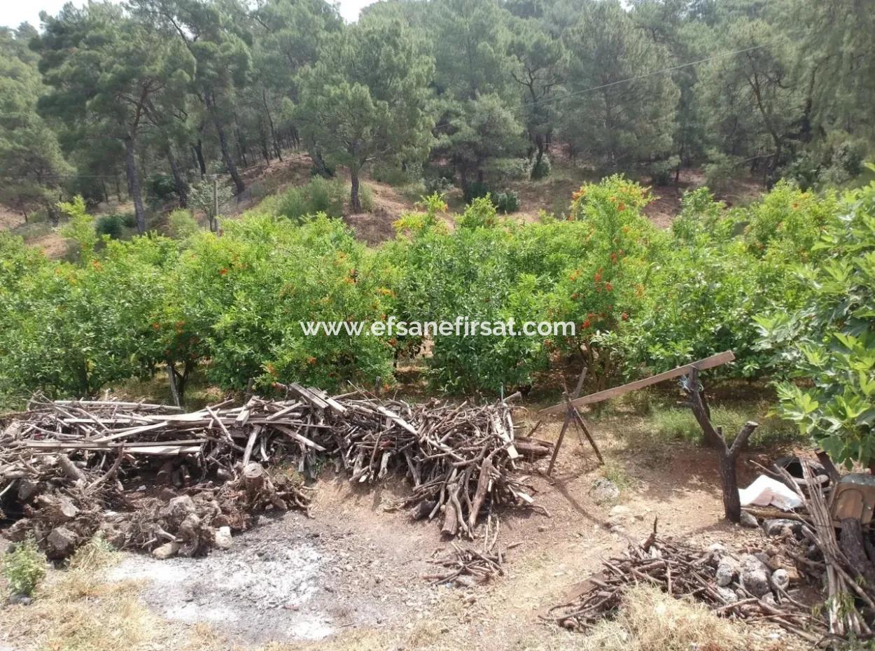 Land Mit Seeblick Zum Verkauf Zwischen Ortaca Tepearasi