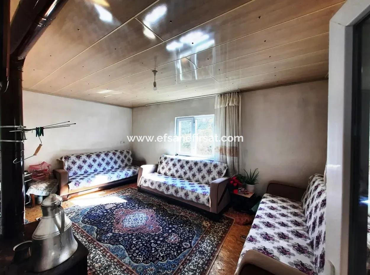 Denizli Çameli Kizilyaka Schmetterling Land Und Dorfhaus Mit Hundeblick Zum Verkauf