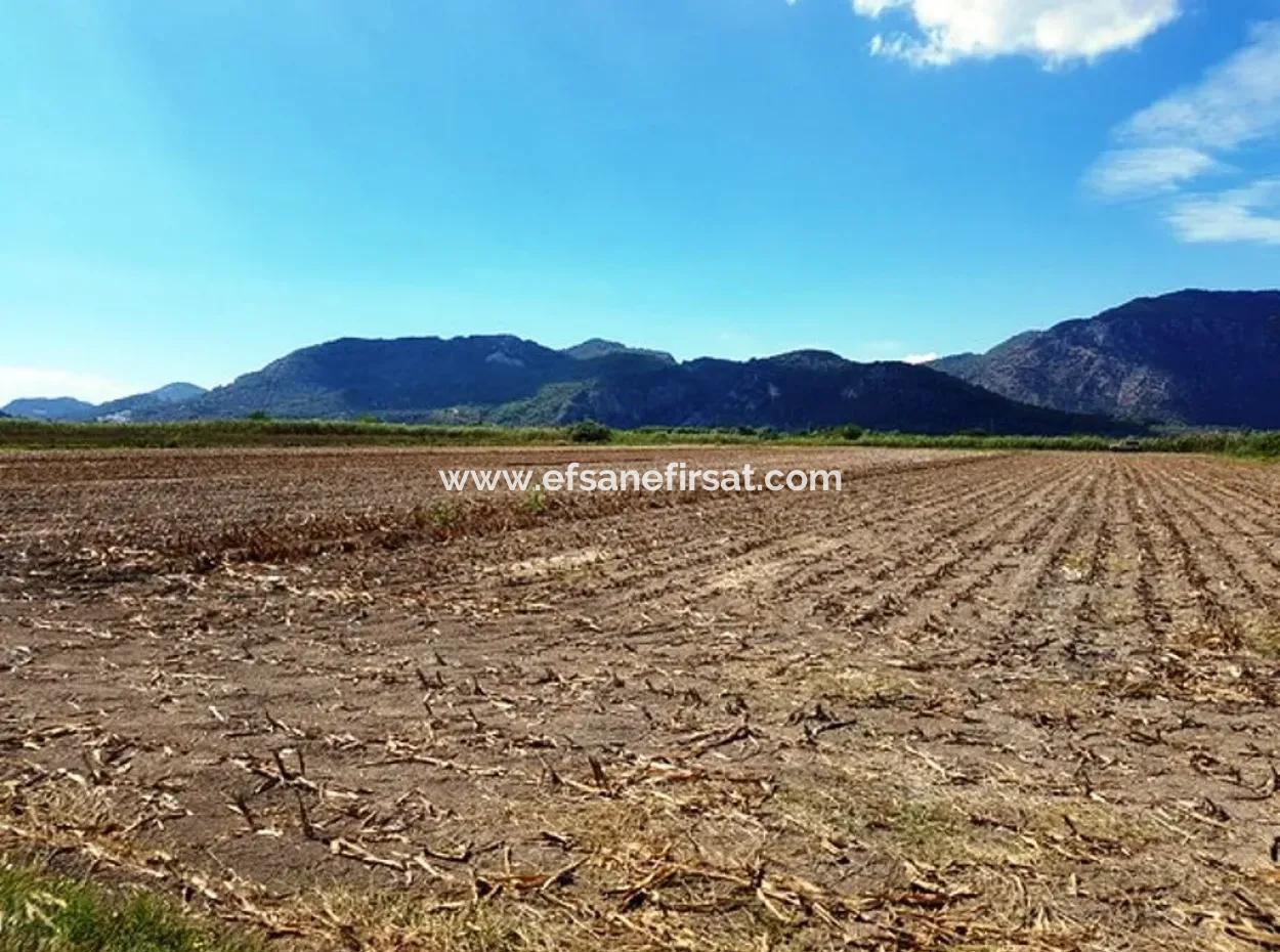 Fruchtbares Schnäppchenland Zum Verkauf In Muğla Ortaca Güzelyurt