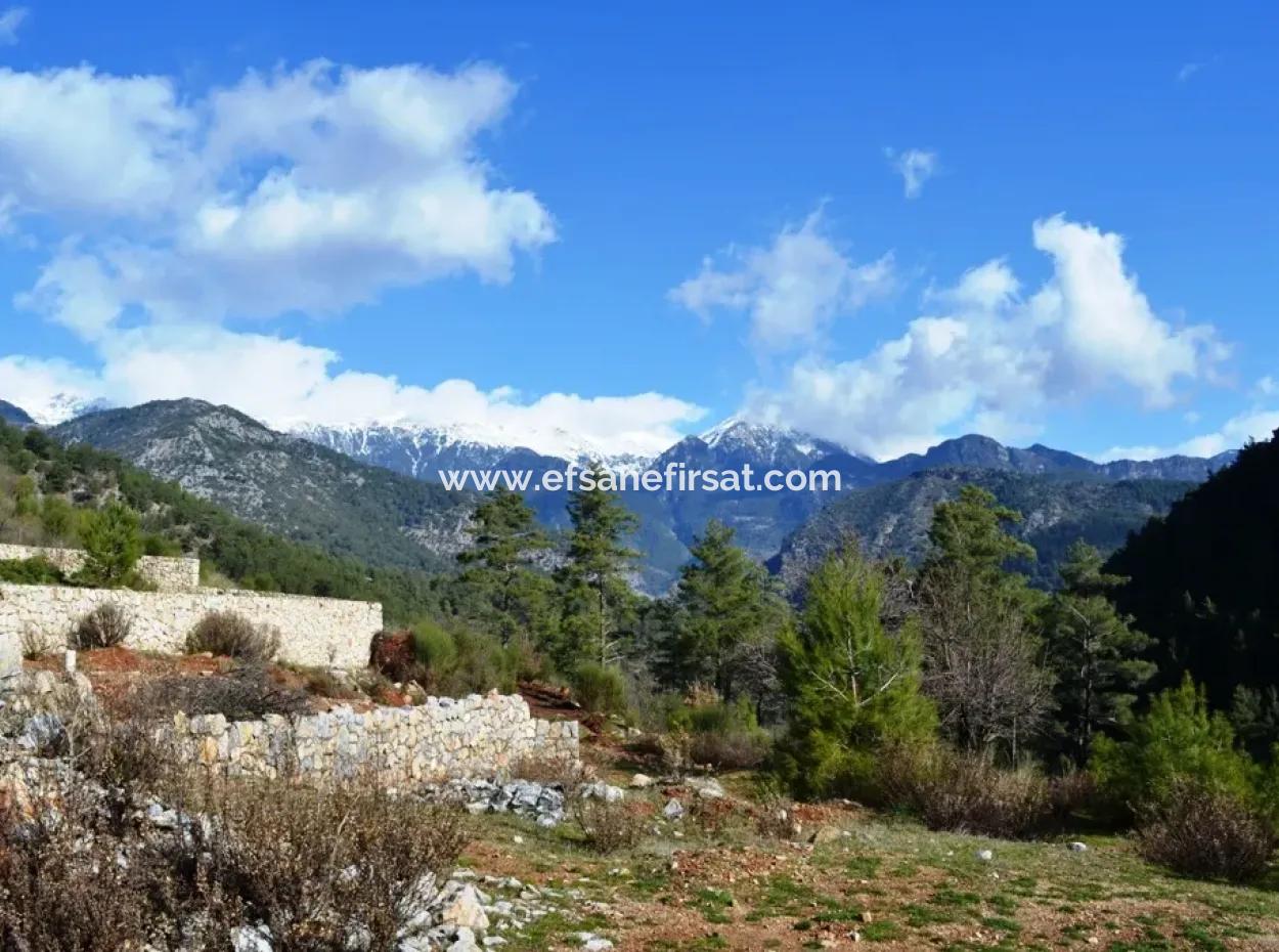 Zoning Land Zu Verkaufen In Fethiye Grapes Kizilbel