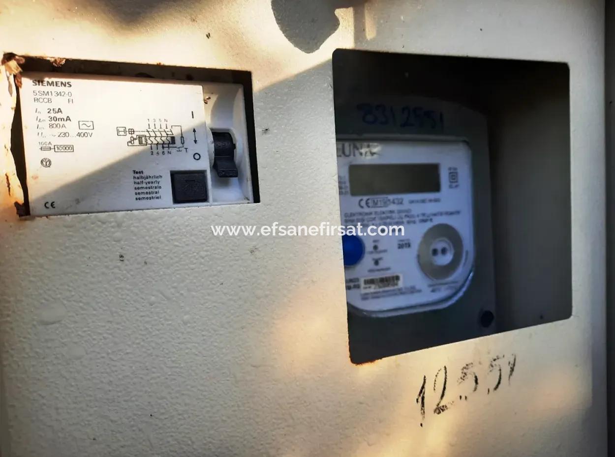 10 000 M2 Freistehender Zitronengarten Zum Verkauf In Ortaca Dalaklı