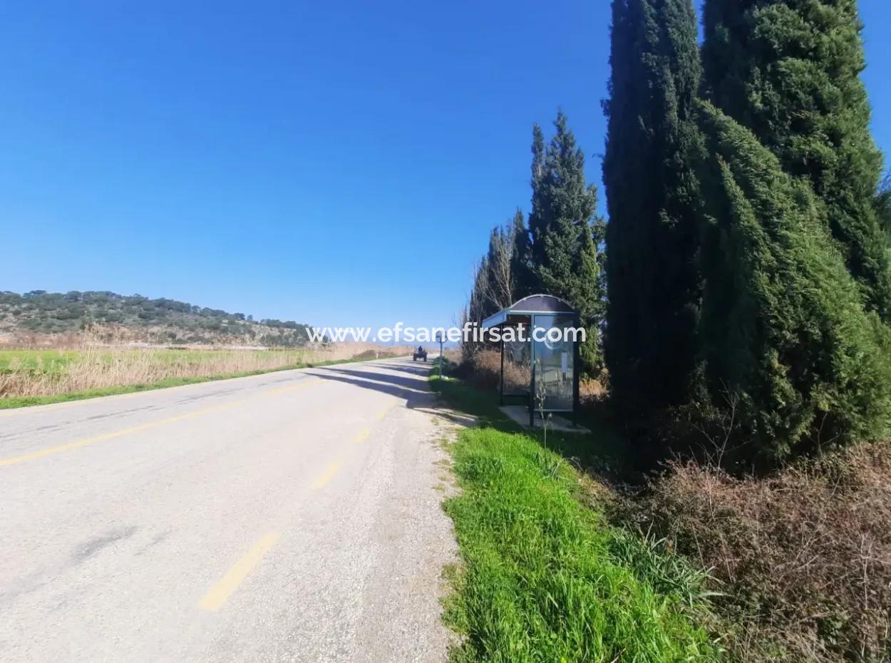 Mugla Ortaca Güzelyurt Sarégerme Straße Mit Blick Auf 2256 M2 Feld Zu Verkaufen