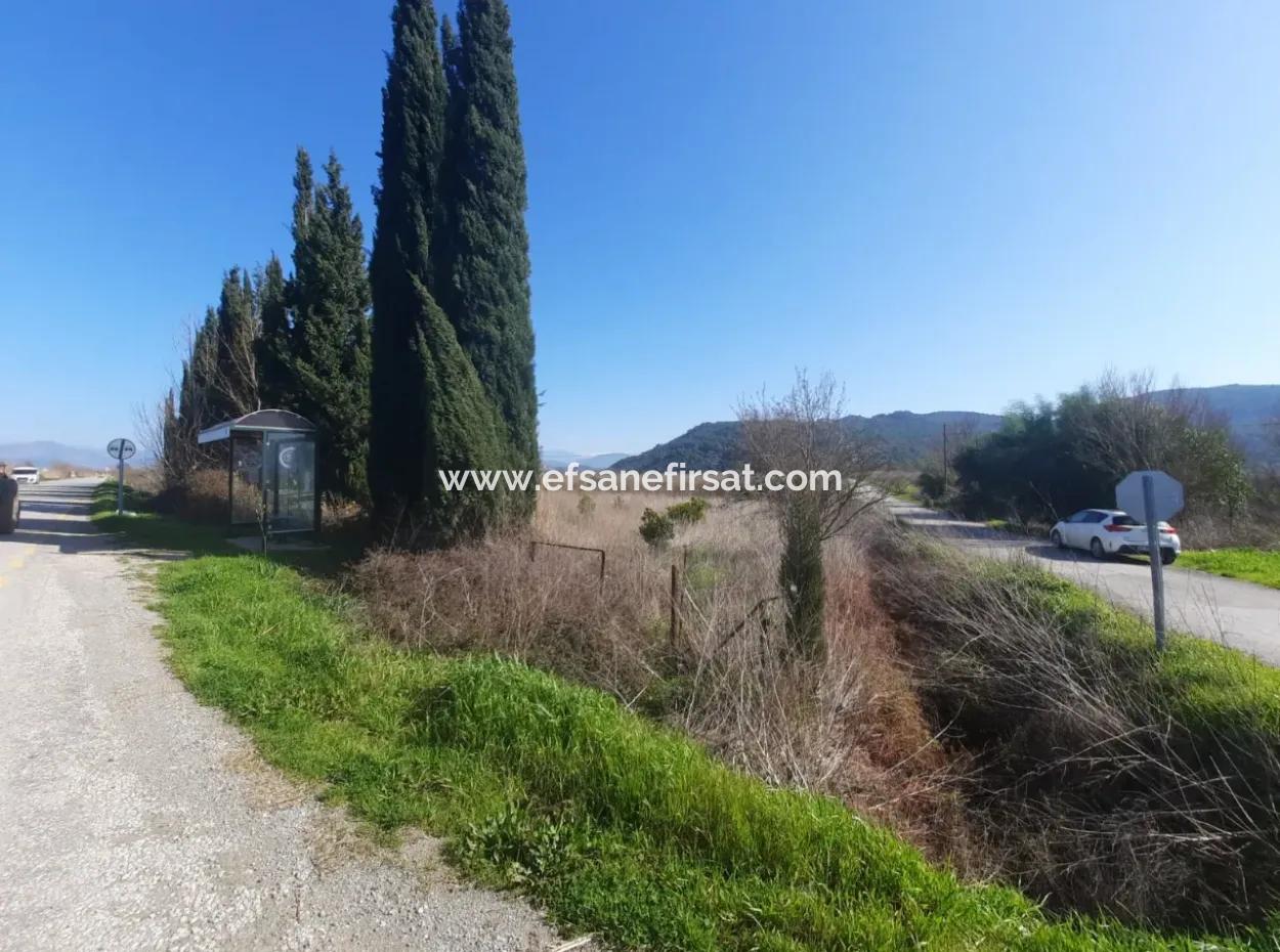 Mugla Ortaca Güzelyurt Sarégerme Straße Mit Blick Auf 2256 M2 Feld Zu Verkaufen