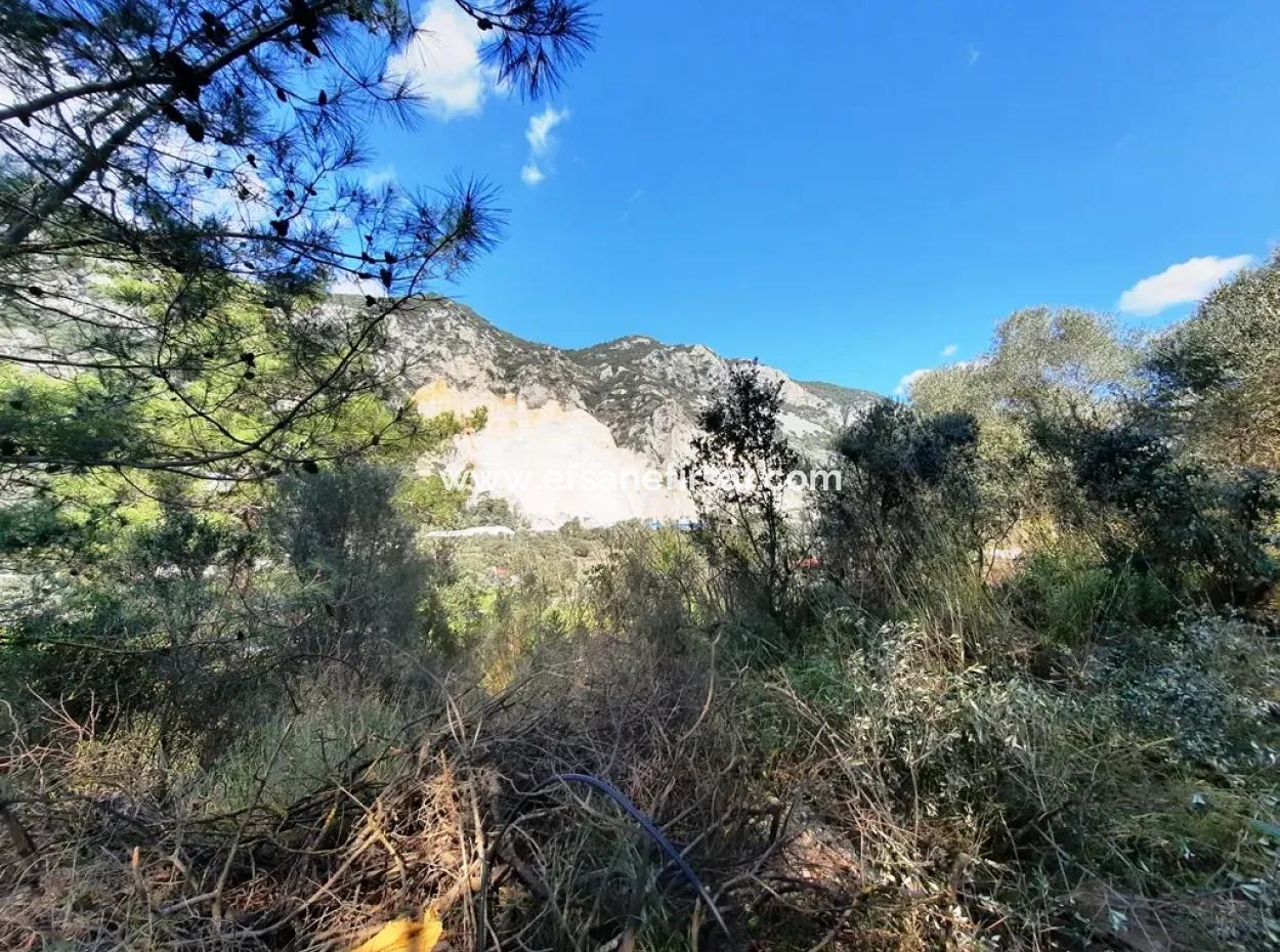 Ruiniertes Dorfhaus Aus Stein Zum Verkauf In Gökova Und Seinem Land