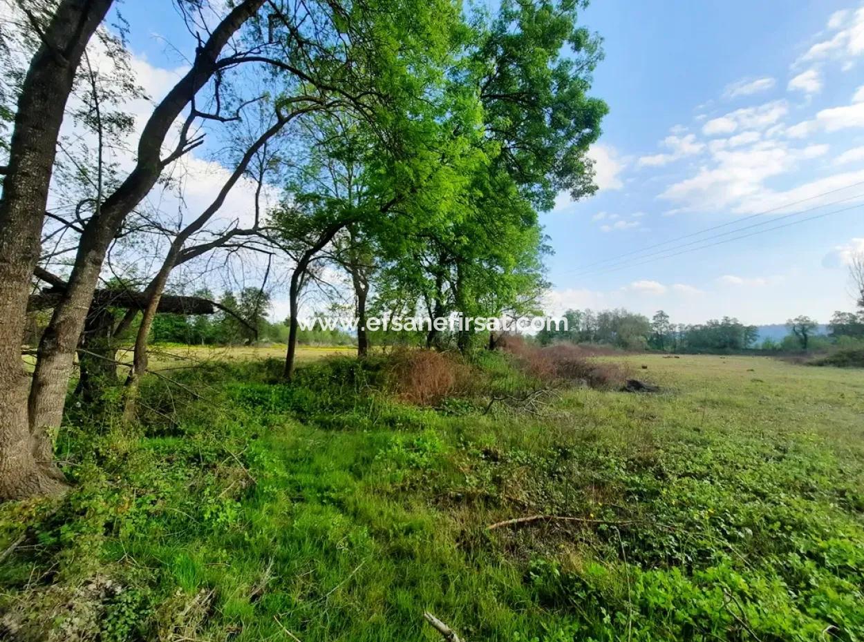 7668 M2 Schnäppchenland Mit Seeblick Zum Verkauf In Köyceiz Zeytinalani