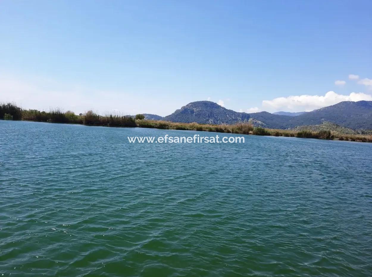 Mugla Dalyan Granatapfelgarten Geeignet Für Null Investition In Den Kanal Zu Verkaufen