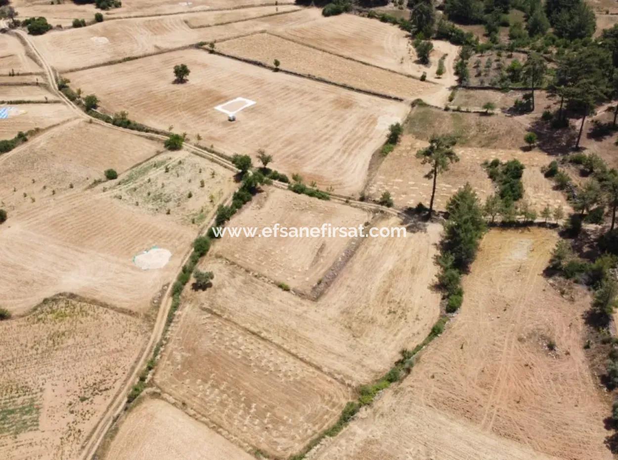 Mugla Menteşe Denizova 1869 M2 Schnäppchenfeld Zum Verkaufen