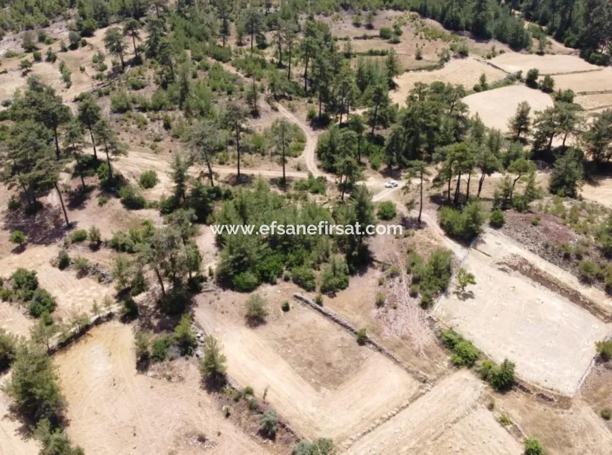 3031 M2 Freistehendes Feld Zu Verkaufen In Mugla Mentese Denizova