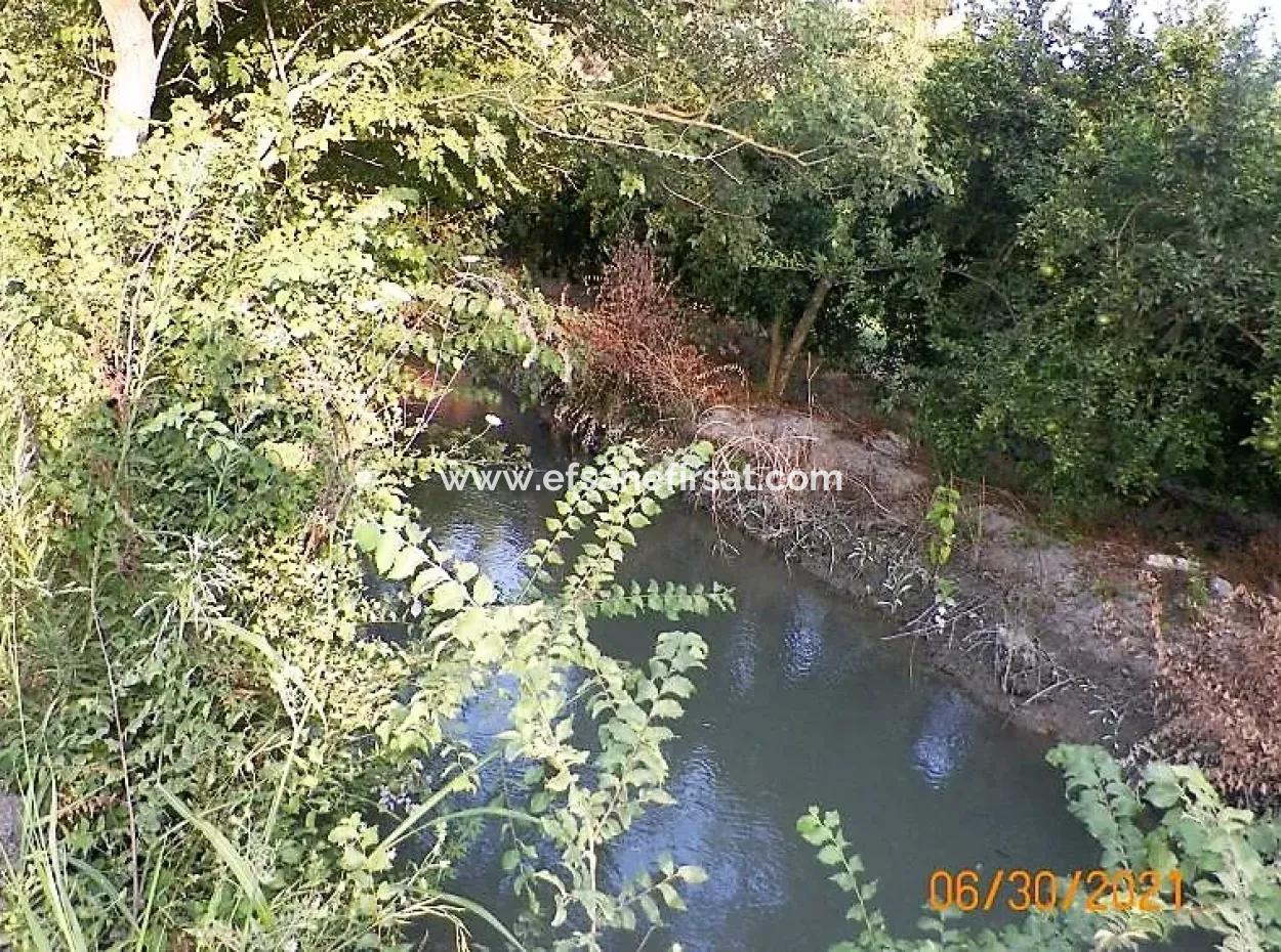 10 000 M2 Fruchtbares Land Zum Verkauf In Mugla Ortaca Mergenli