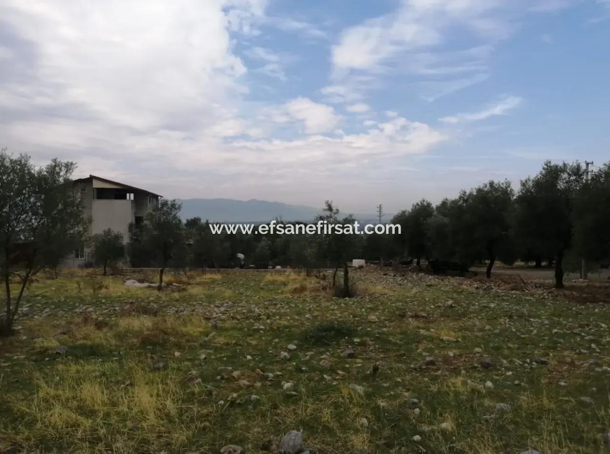 2788 M2 Feld Mit Seeblick Zu Verkaufen In Mugla Köyceğiz Zeytinalanı