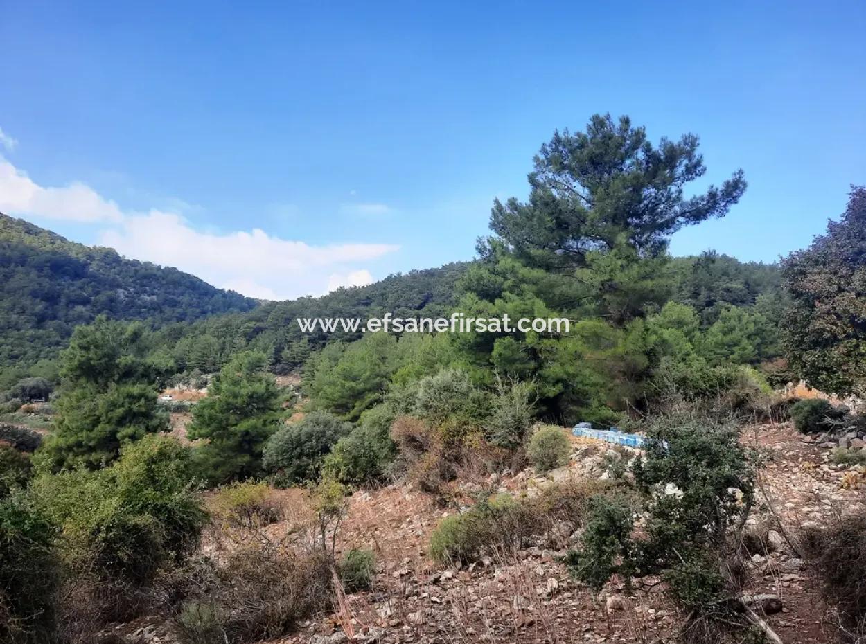 Mugla Dalyan Gökbel 320 M2 Schnäppchengrundstück Zum Verkauf