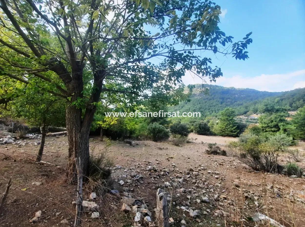 Mugla Dalyan Gökbel 320 M2 Schnäppchengrundstück Zum Verkauf
