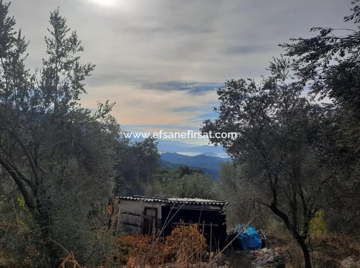 11.650M2 Freistehendes Grundstück Mit Meerblick Und 1 1 Haus Zum Verkauf In Göcek Gökçeovacik