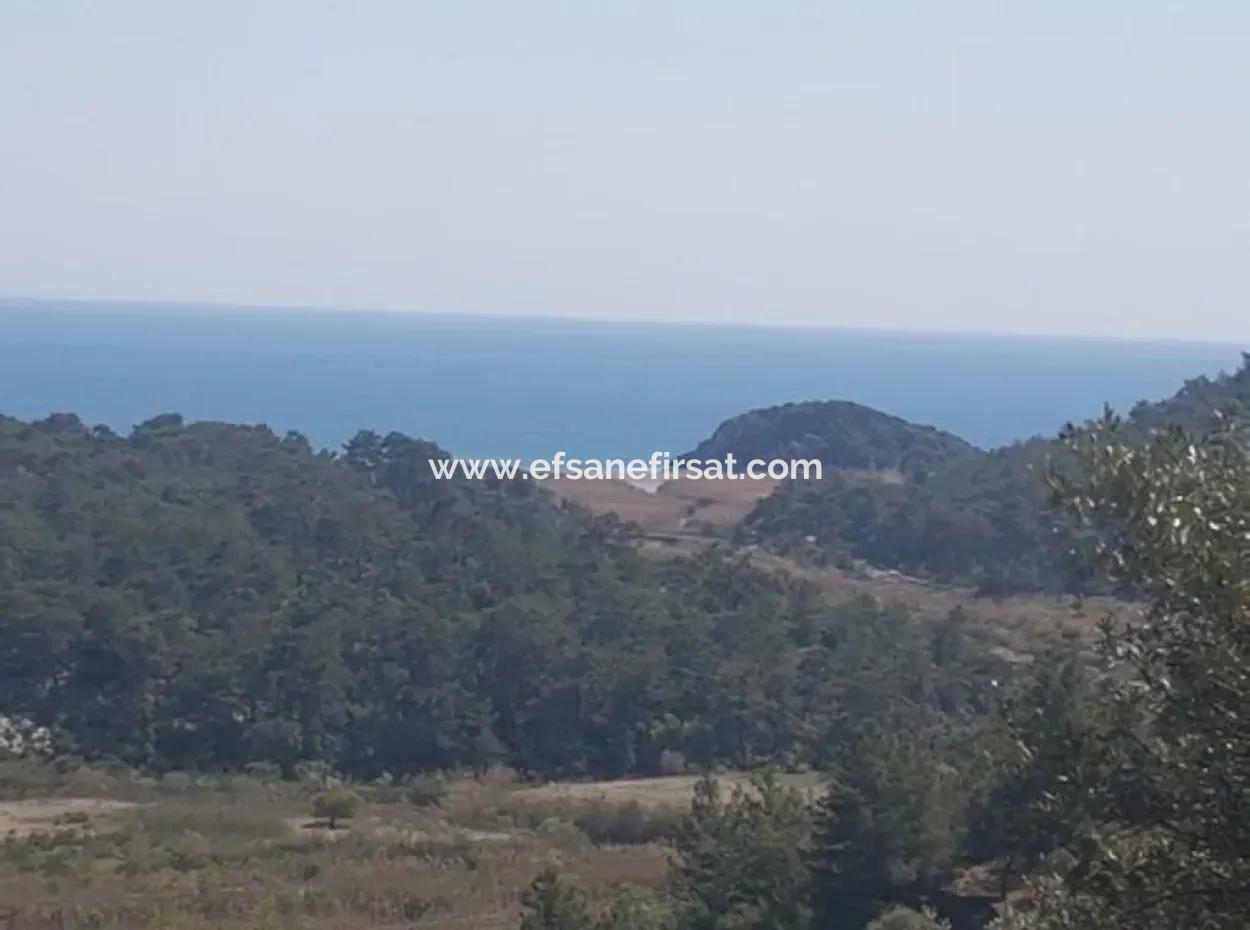 Grundstück Mit Meer Blick Zu Verkaufen Schnäppchen Ortaca Sarıgerme