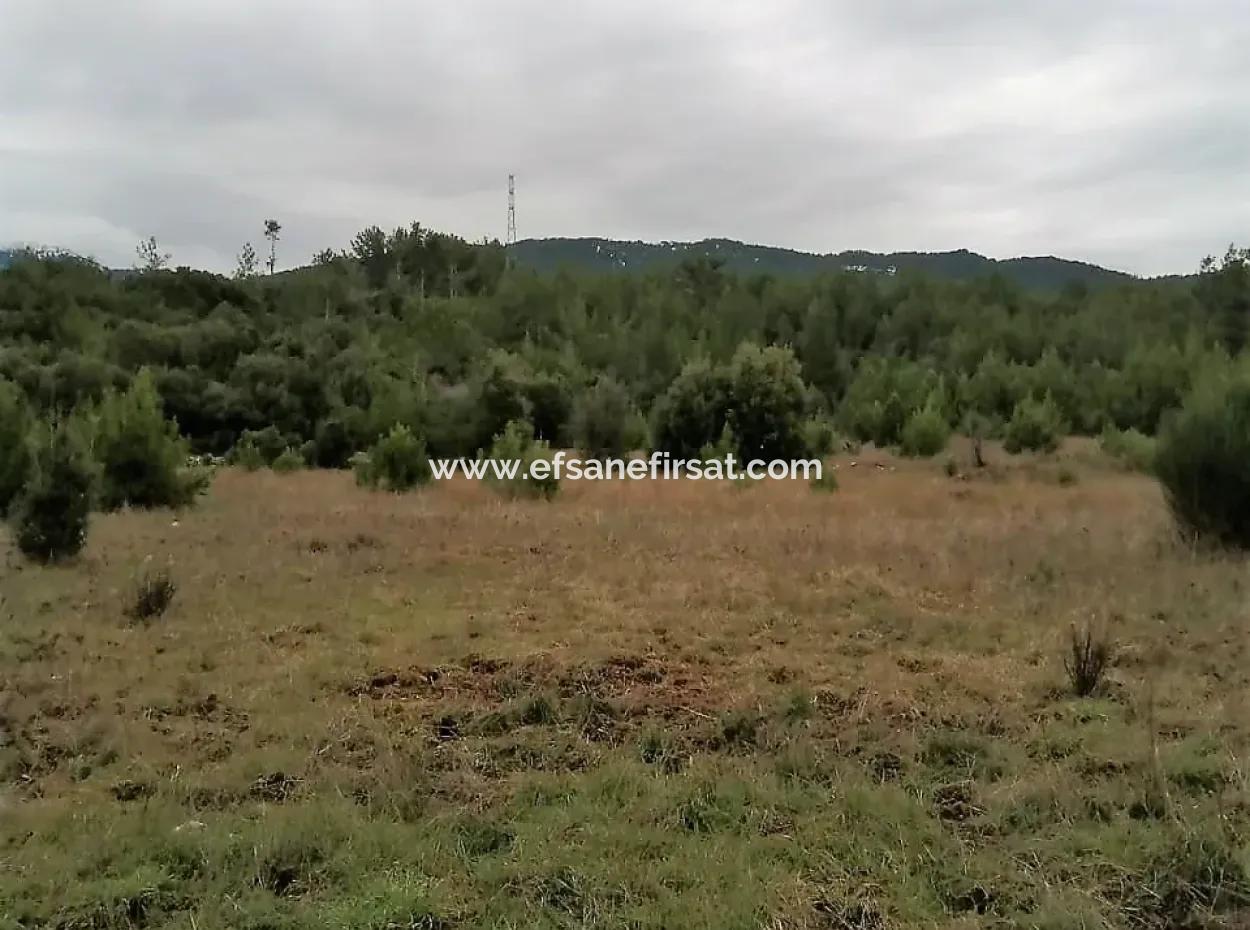 30949 M2 Fruchtbares Feld Zu Verkaufen In Mugla Dalaman Gürleyik