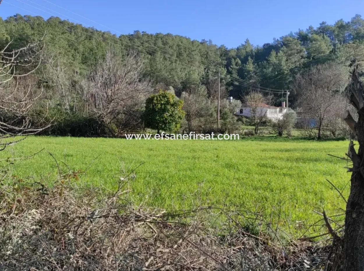 Mugla Ula Karabörtlen 2956 M2 Freistehendes Grundstück Zum Verkauf