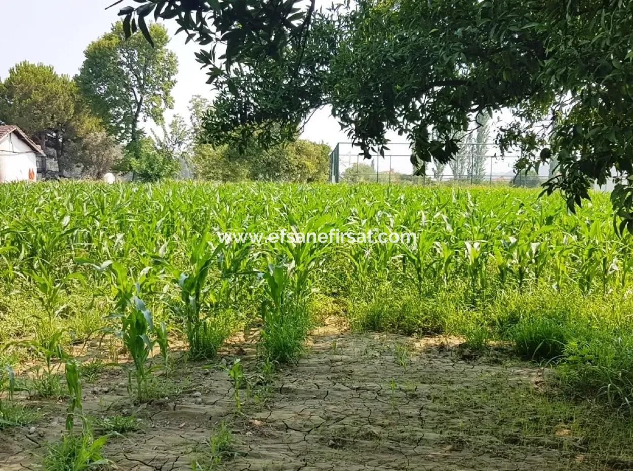 Dalaman Billig Grundstücke Zum Verkauf In Investitionen, Entsprechende Land