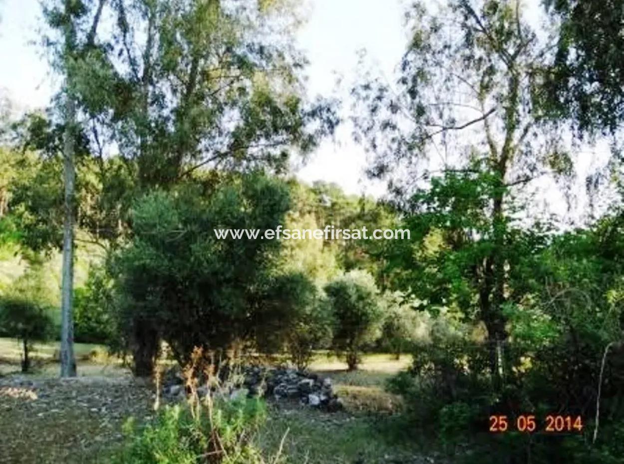 600 M2 Garten Mit Meerblick Zum Verkauf In Mugla Fethiye Eldirek