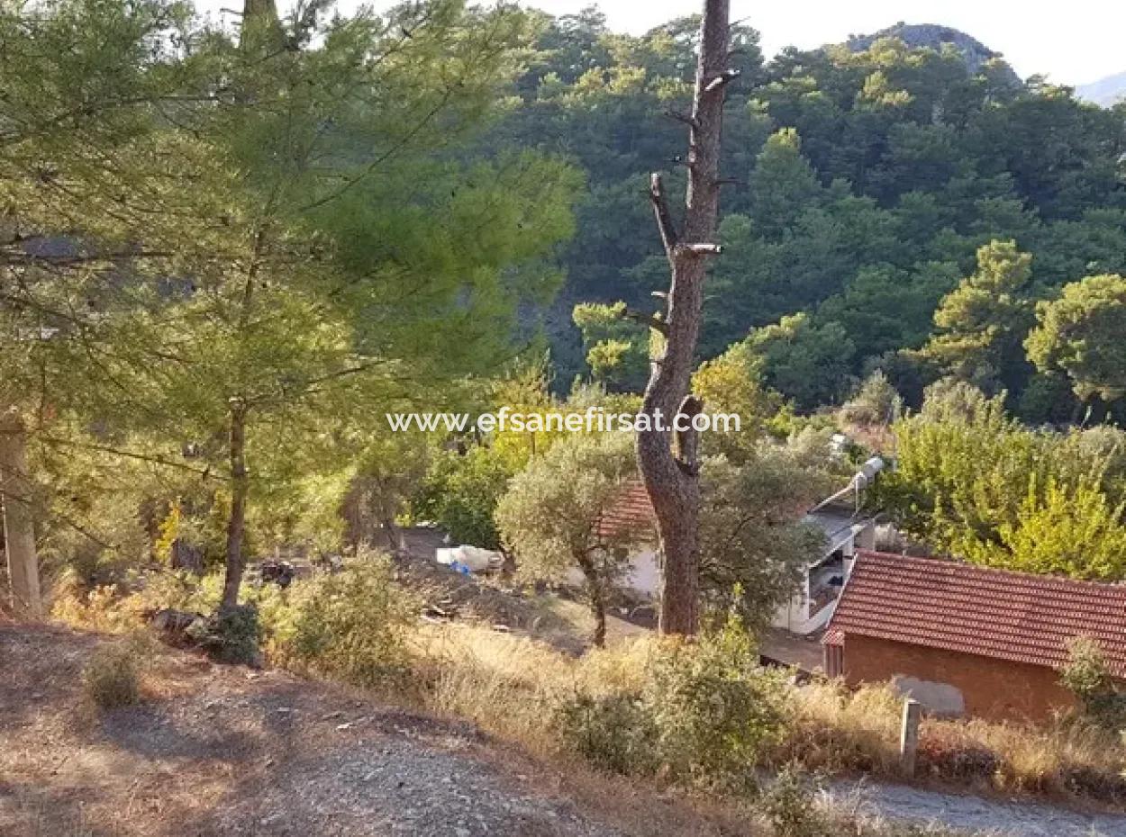 2 500 M2 Freistehendes Schnäppchengrundstück In Ortaca Gökbel Zu Verkaufen