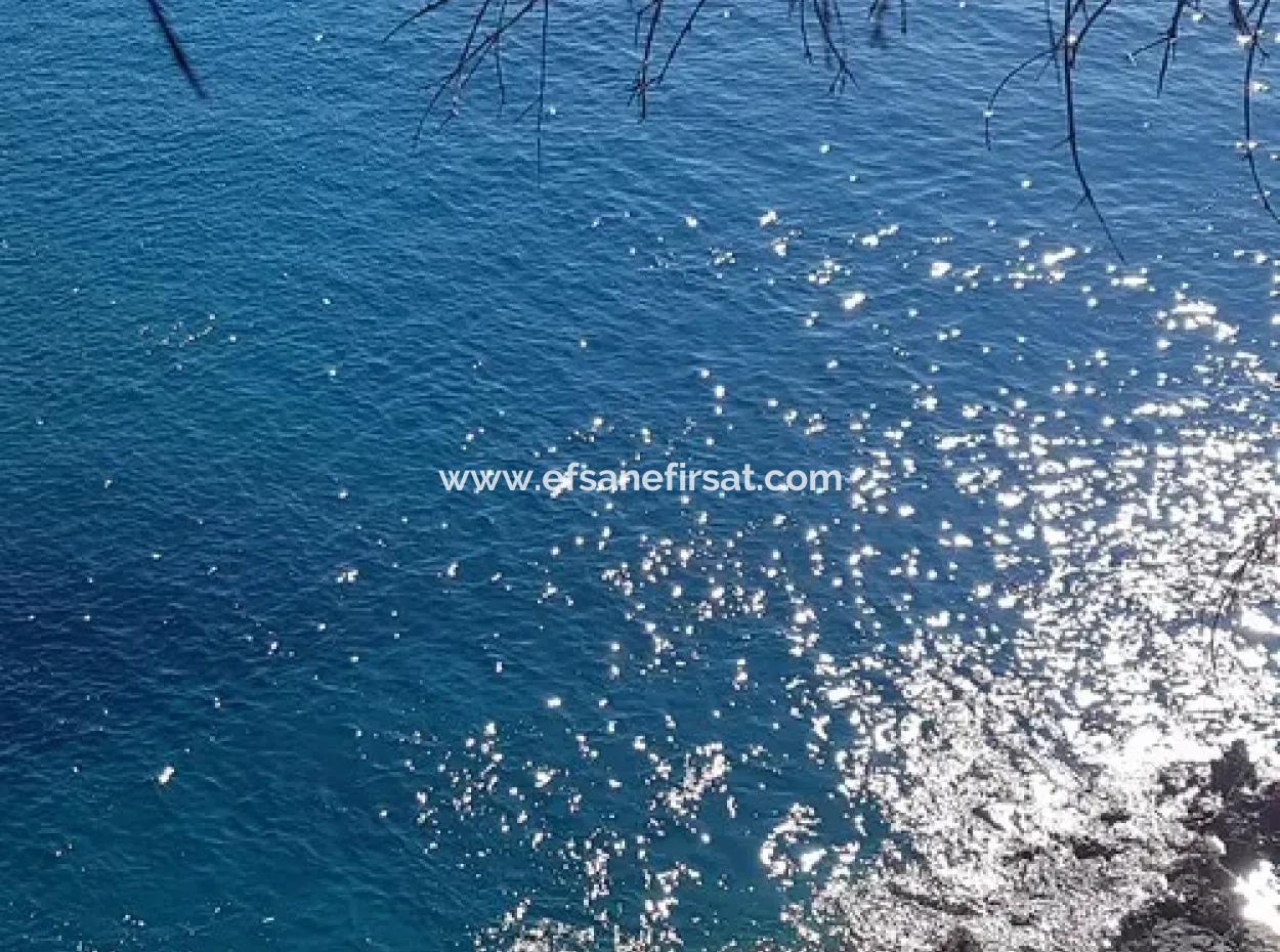 Dalyan, Gökbel De Meer Freistehend 1 300 M2 Olivenhain Zu Verkaufen