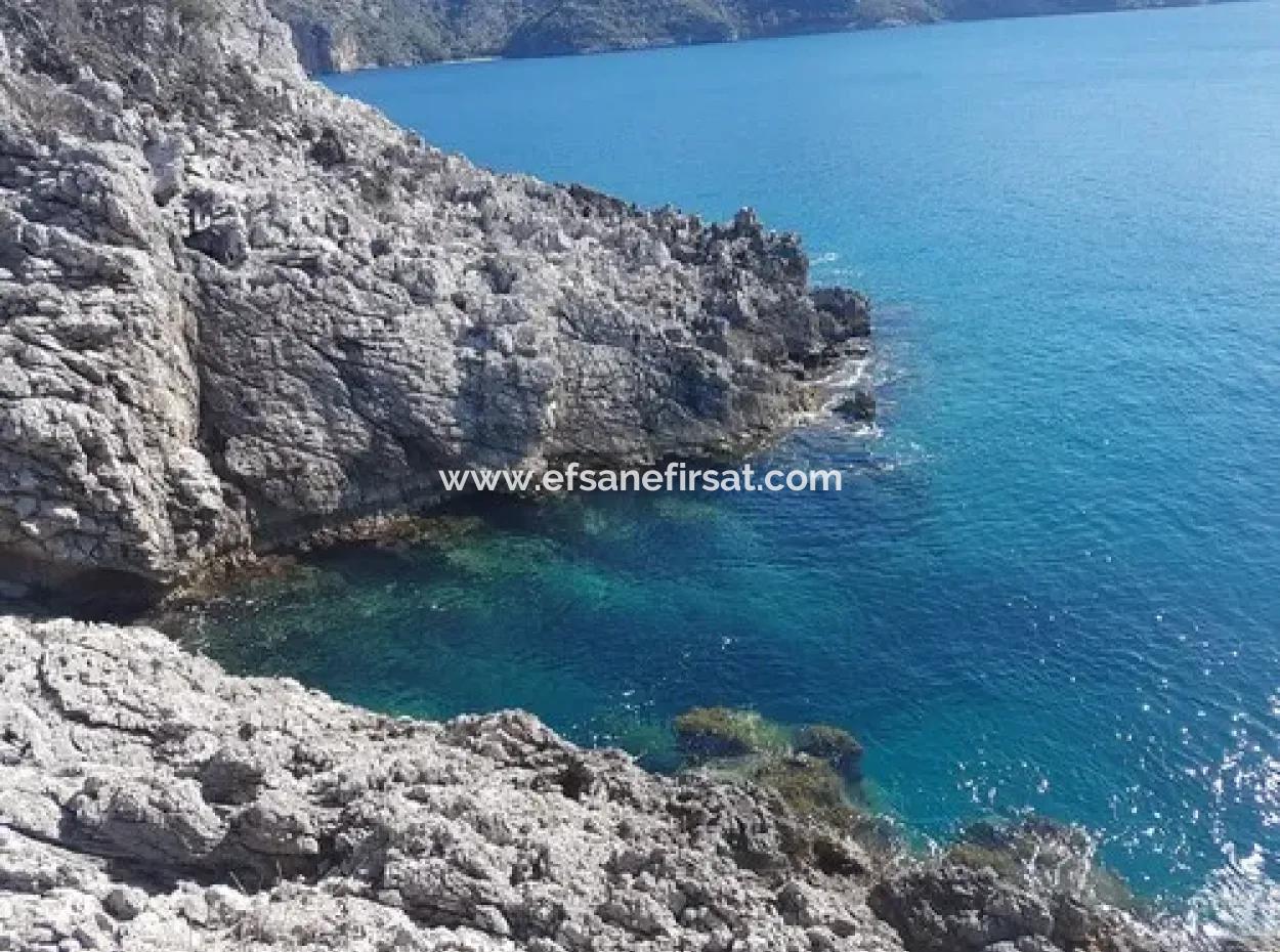Dalyan, Gökbel De Meer Freistehend 1 300 M2 Olivenhain Zu Verkaufen