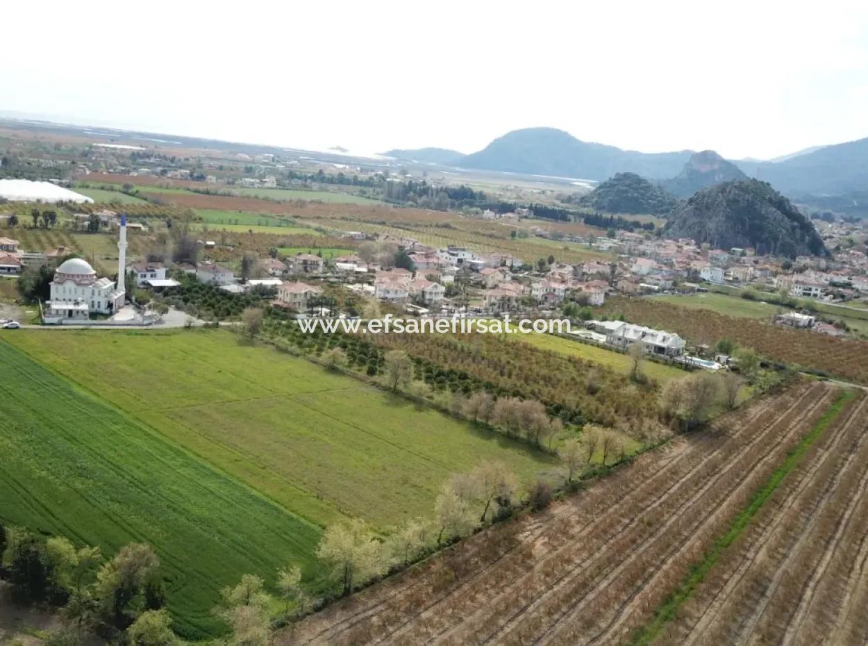 250 M2 Bau Beschlagnahmtes Land Von 5.000 M2 Freistehendes Grundstück In Mugla Dalyan Zum Verkauf