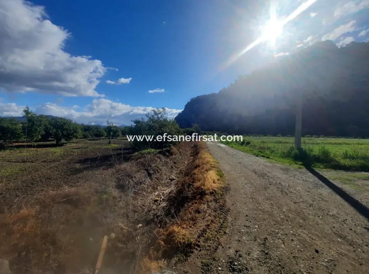 20.000 M2 In Muğla Ortaca Okçular Marmarlı, Grundstück Zum Verkauf Im Bebauungsplan