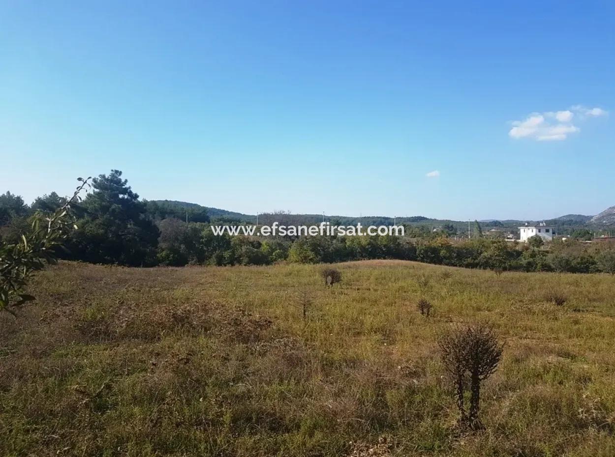 Ula Bauernhof Zum Verkauf