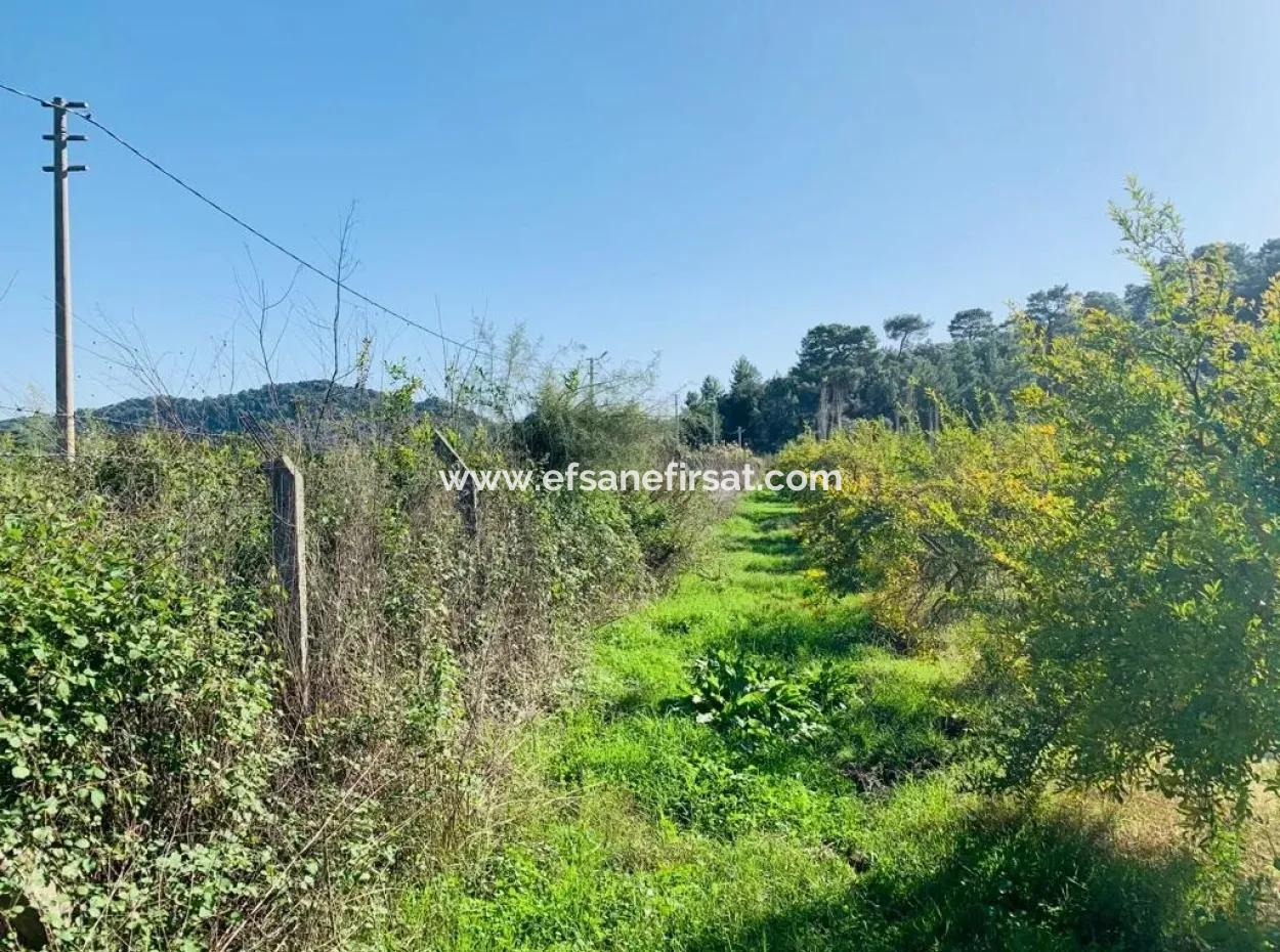 Zum Verkauf Grundstücke Zum Verkauf In Mergenli