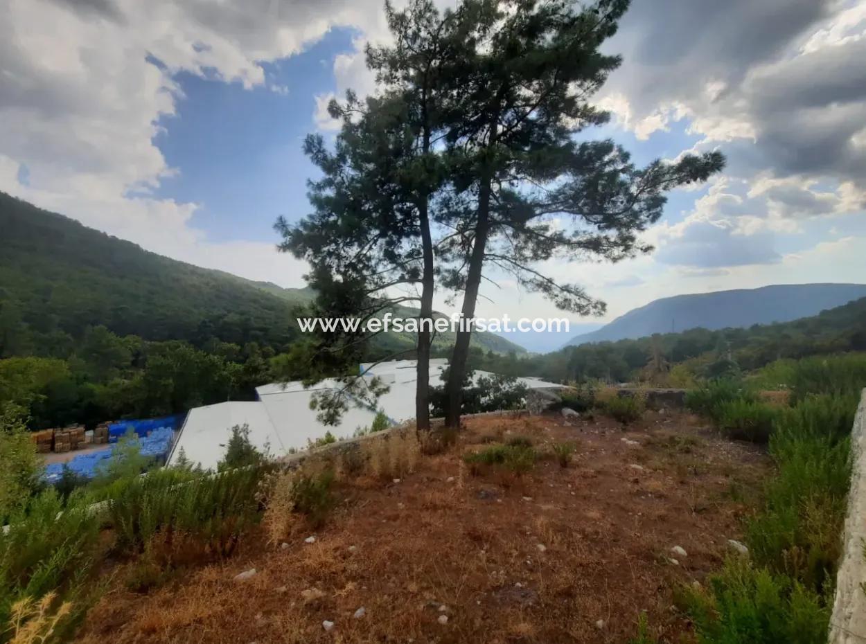 Muğla Köyceğiz Ağla, 1 758 M2 Zoniertes Grundstück Zum Verkauf In Plateau