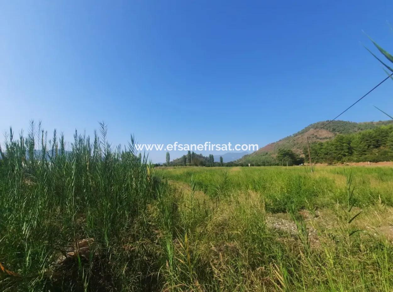 Muğla Ortaca Ekşiliyurt 8.000 M2 Fruchtbares Land Zum Verkauf
