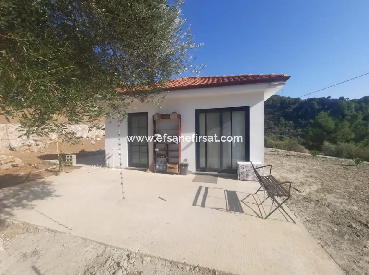 2 Einheiten Von 1 1 Wohnung Zum Verkauf Auf 1700 M2 Freistehendem Grundstück In Muğla Gökbel