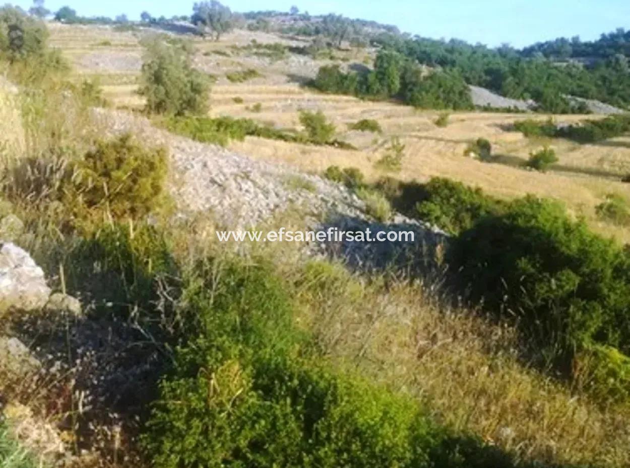 Grundstück Mit Meerblick Zum Verkauf In Boğaziçi Seydikemer