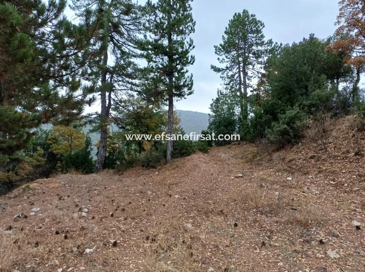 1 900 M2 Freistehendes Schnäppchengrundstück Zum Verkauf In Burdur Gölhisar Yeşildere