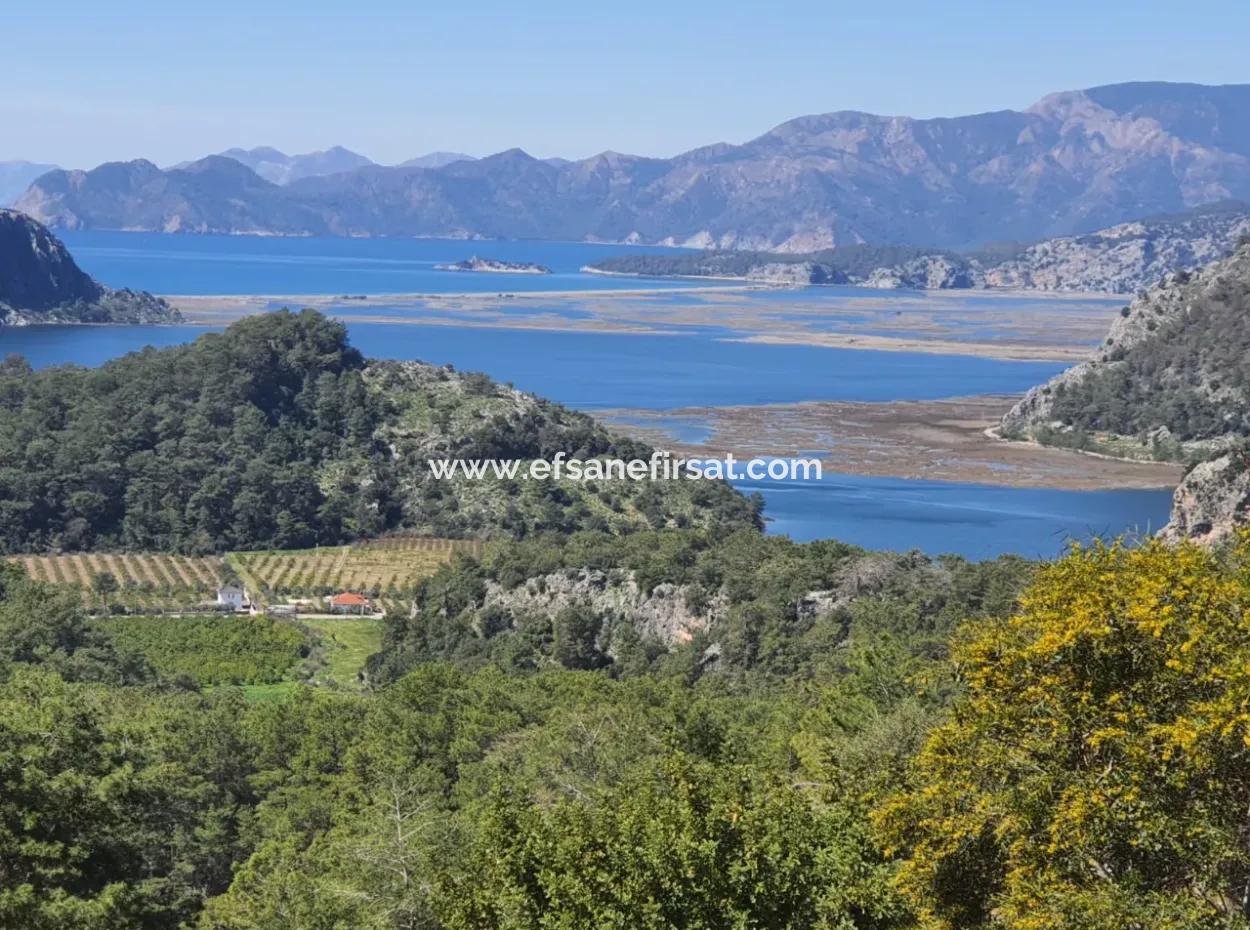 4 1 Freistehende Möblierte Villa Mit Meerblick Zum Verkauf In Muğla Dalyan Gökbel