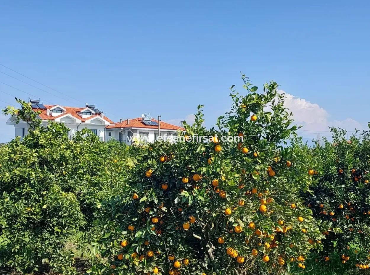 722 M2 Freistehendes Grundstück Zum Kauf In Dalyan, Muğla
