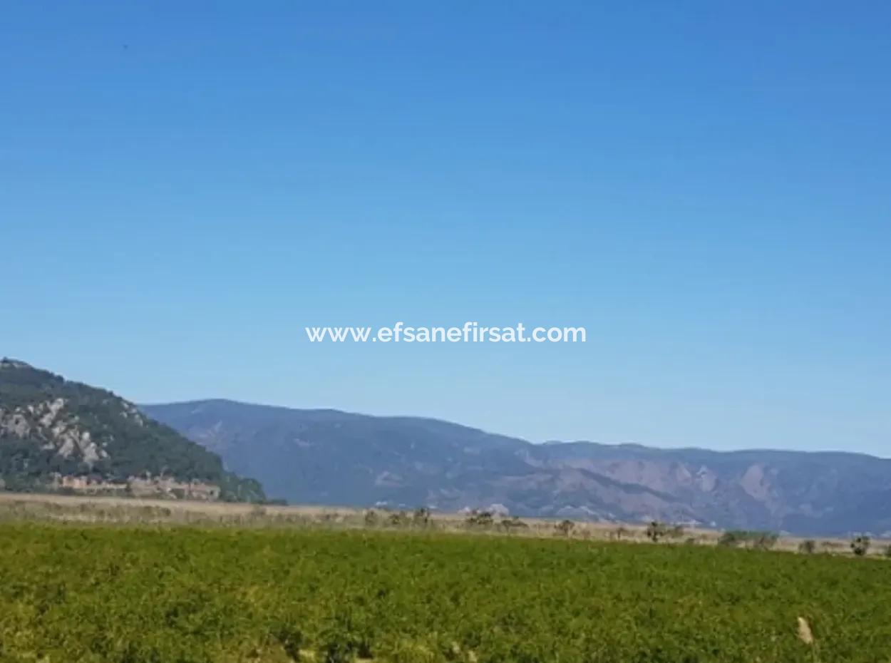 Garten Der Granatäpfel Zum Verkauf In Dalyan