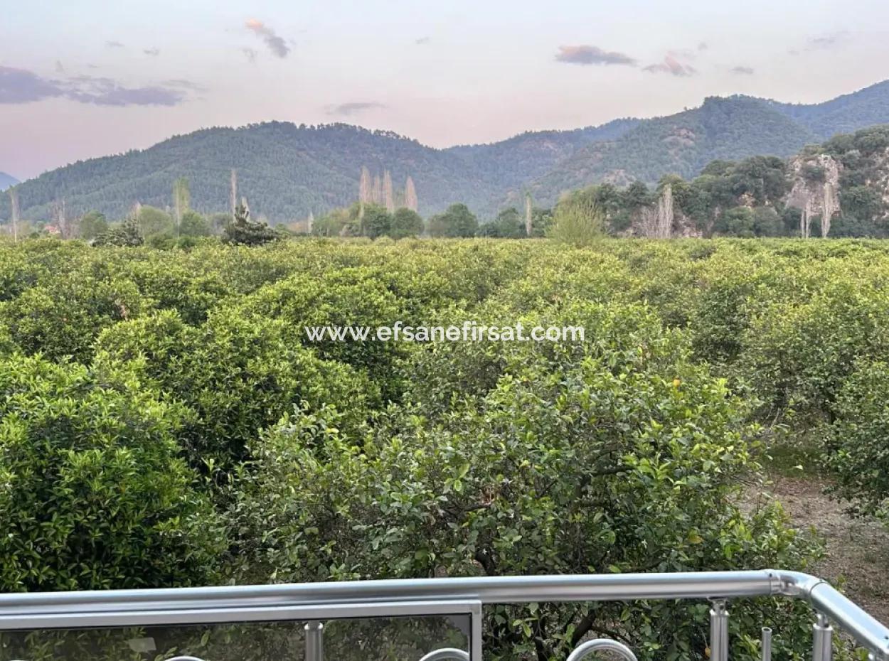 3 1 Wohnung Zu Vermieten In Ortaca Okçular