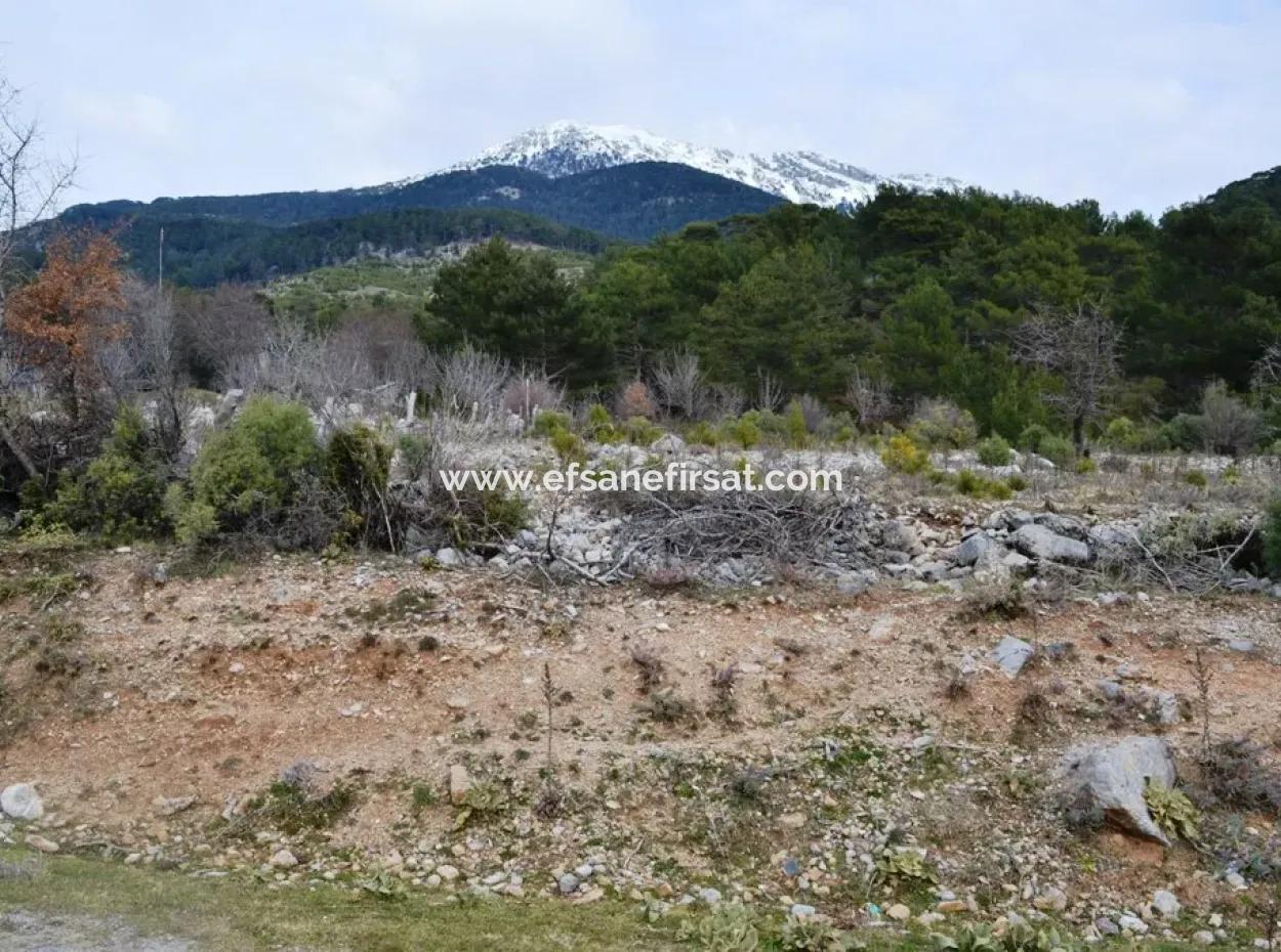 Fethiye, Nifte, 2 000 M2, Freistehend Zu Verkaufen, Schnäppchengrundstück