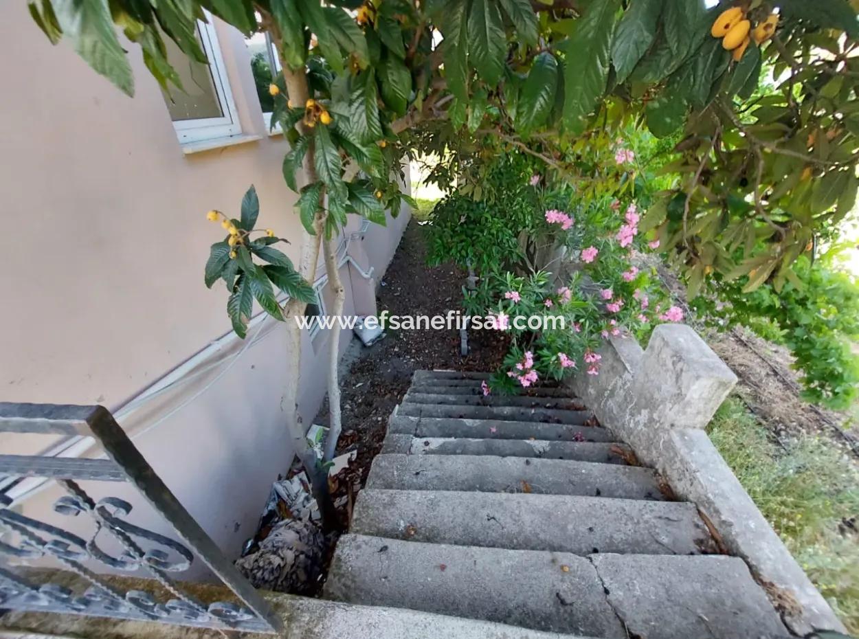 Ortaca - Dalyan Highway Geschäft Und Freistehendes Gebäude Zu Verkaufen