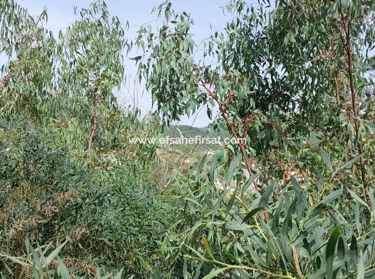 18 Villen Geeignet Für Massenwohnungen In Dalaman, 6 165 M2 Zoniertes Land Zum Verkauf