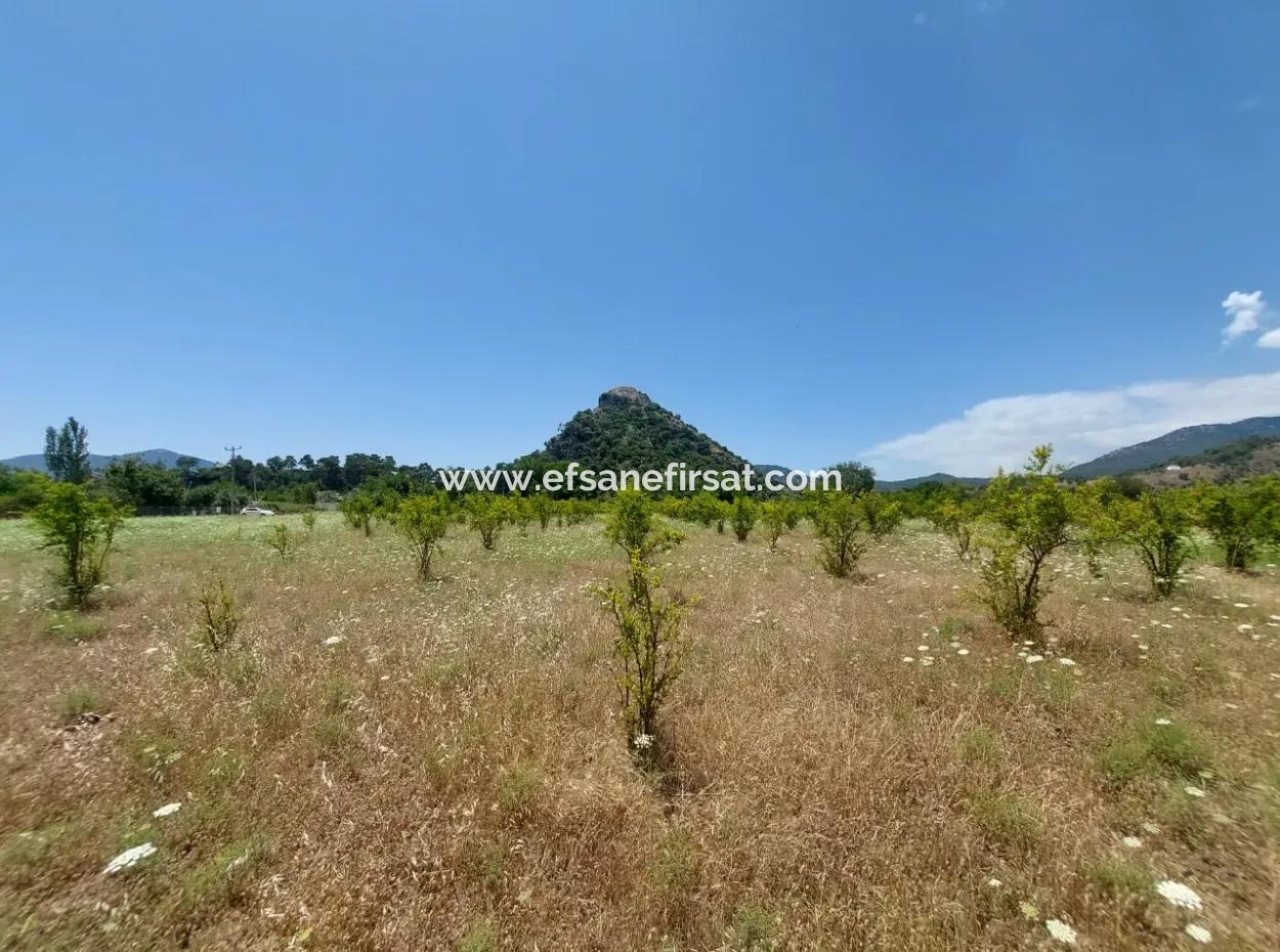 Köyceğiz Çandırda Freistehende Eigentumsurkunde 33.800 M2 Feld Zum Verkauf