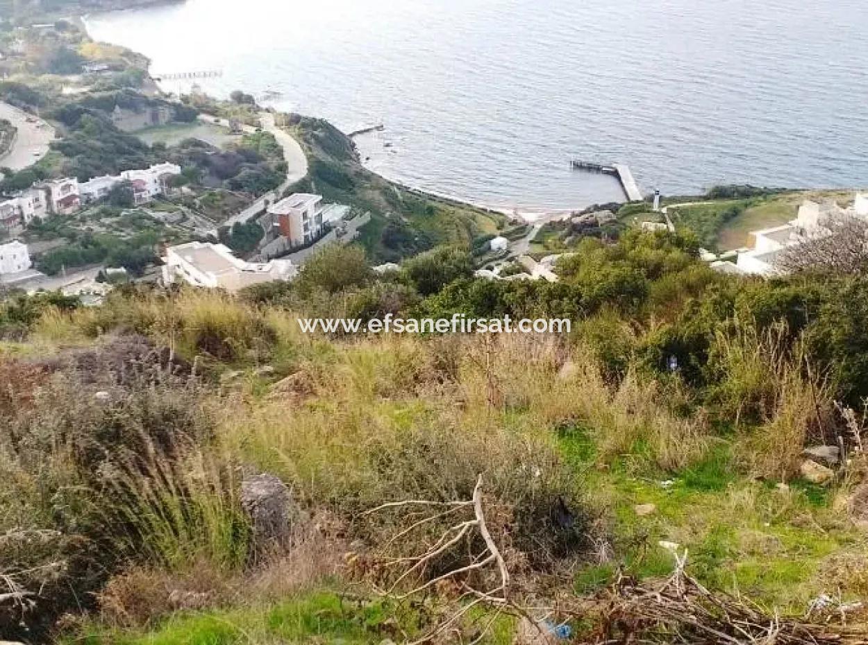 Grundstück Mit Meerblick Zum Verkauf In Bodrum Bitez