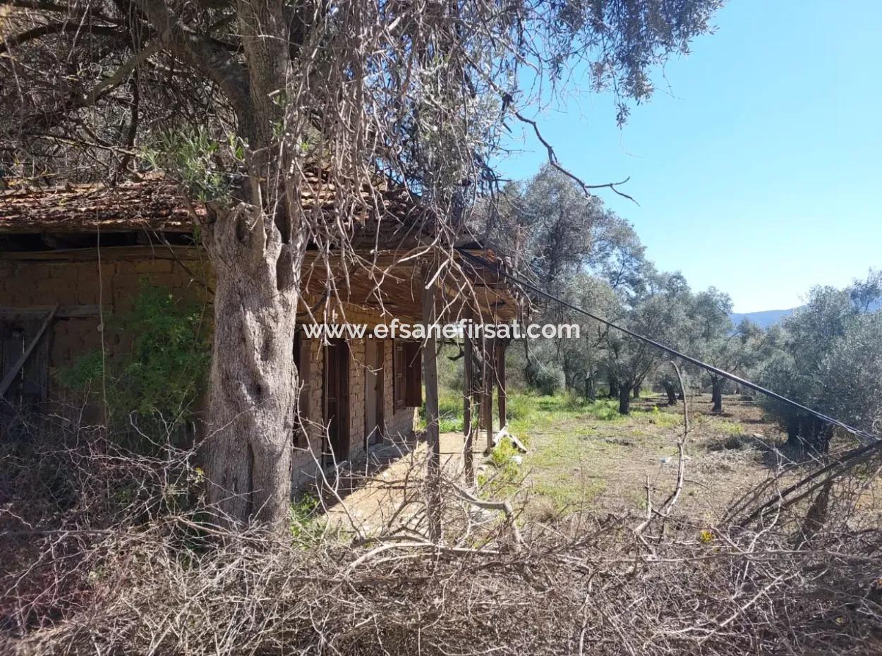Dorfhaus Mit Seeblick Und Olivenhain Land Zum Verkauf In Köyceğiz Çandır, Muğla
