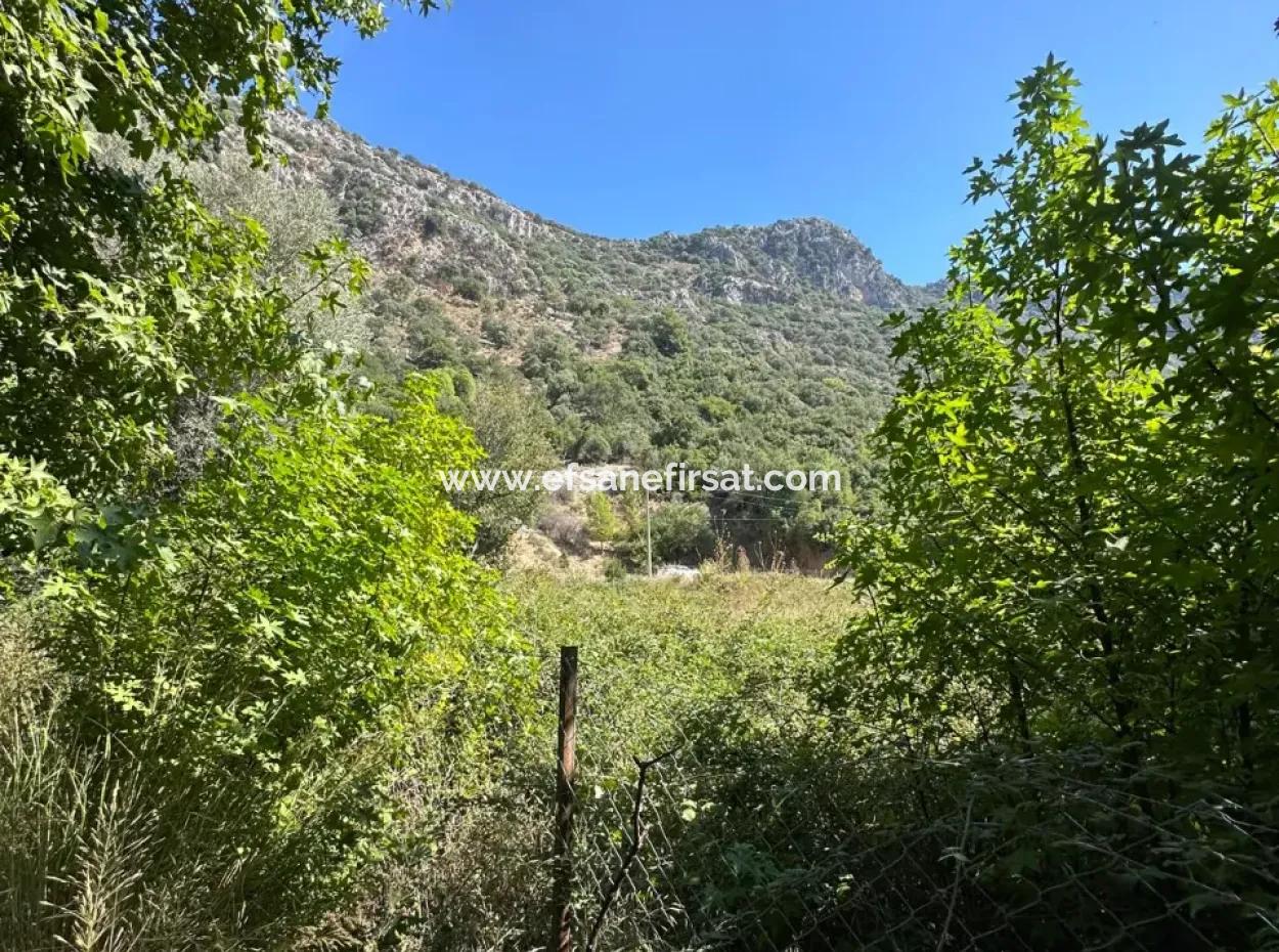 3073 M2 Feld Zu Vermieten In Dalyan Marmarlı