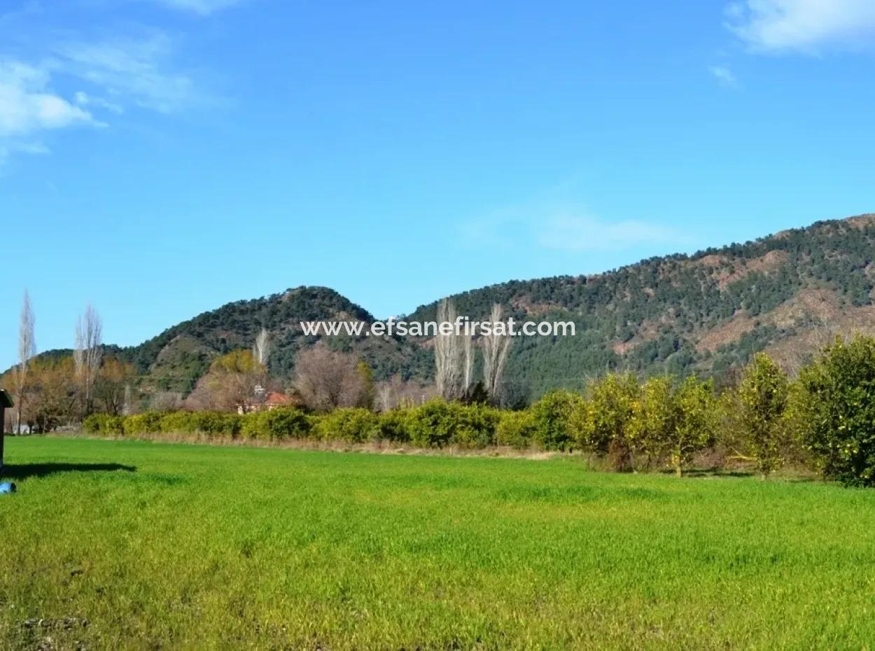 Grundstück Zu Verkaufen Schnäppchen-Einfamilienhaus-Bogenschützen Auch