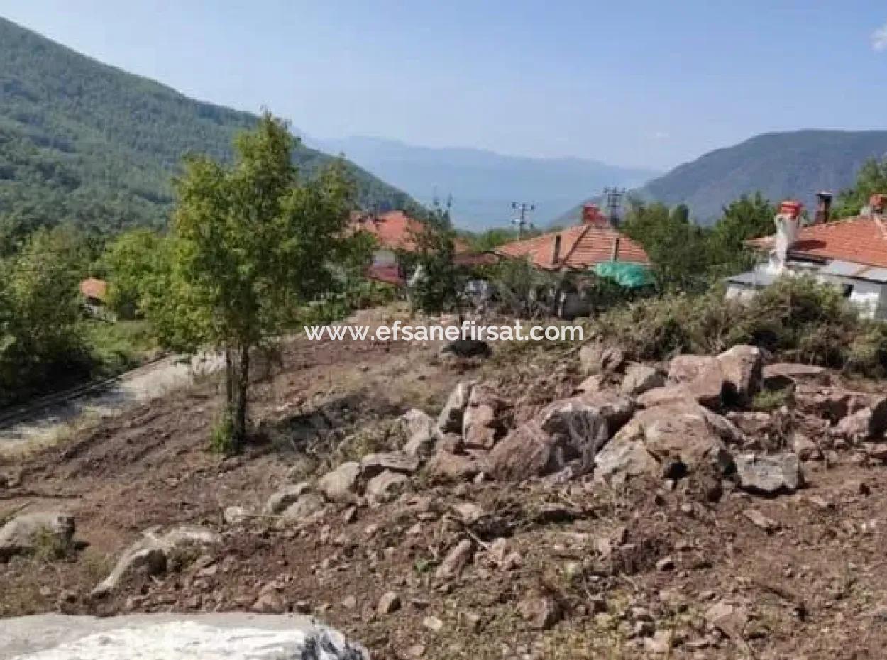 Muğla Köyceğiz Yayla Mah 560 M2 Grundstück Zum Verkauf