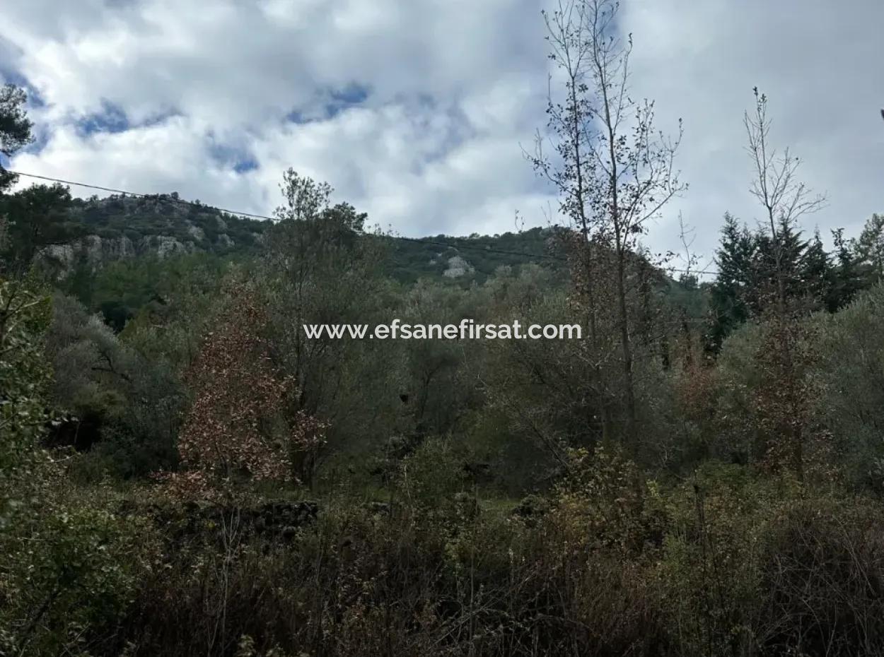 Zu Verkaufen In Fethiye Gökçeovacıkta 1709 M2