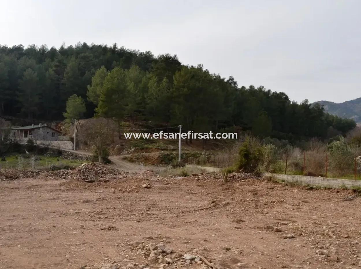 Bauernhof Zum Verkauf Incirkoy Fethiye-Schnäppchen